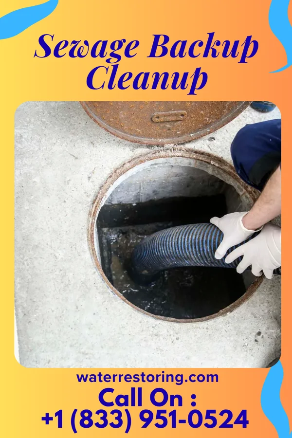 Sewage Backup Cleanup in Crofton, NE