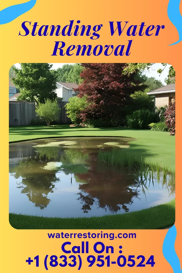 Standing Water Removal in Crofton, NE